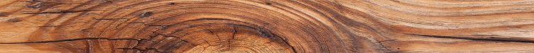 HOLZ